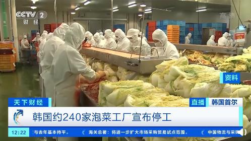 一棵白菜62元 韓國超3成泡菜工廠停工,部分經銷商增加從中國進口的泡菜量